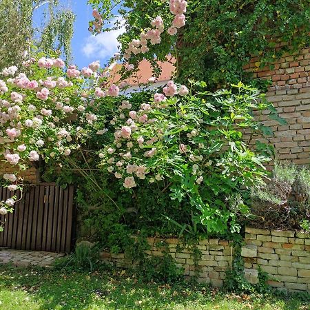 Patak28 Apartmanok Шопрон Екстериор снимка