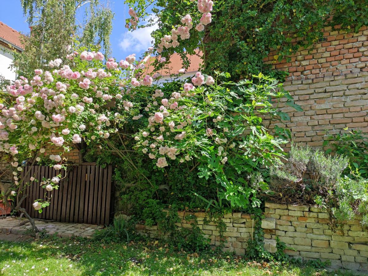 Patak28 Apartmanok Шопрон Екстериор снимка